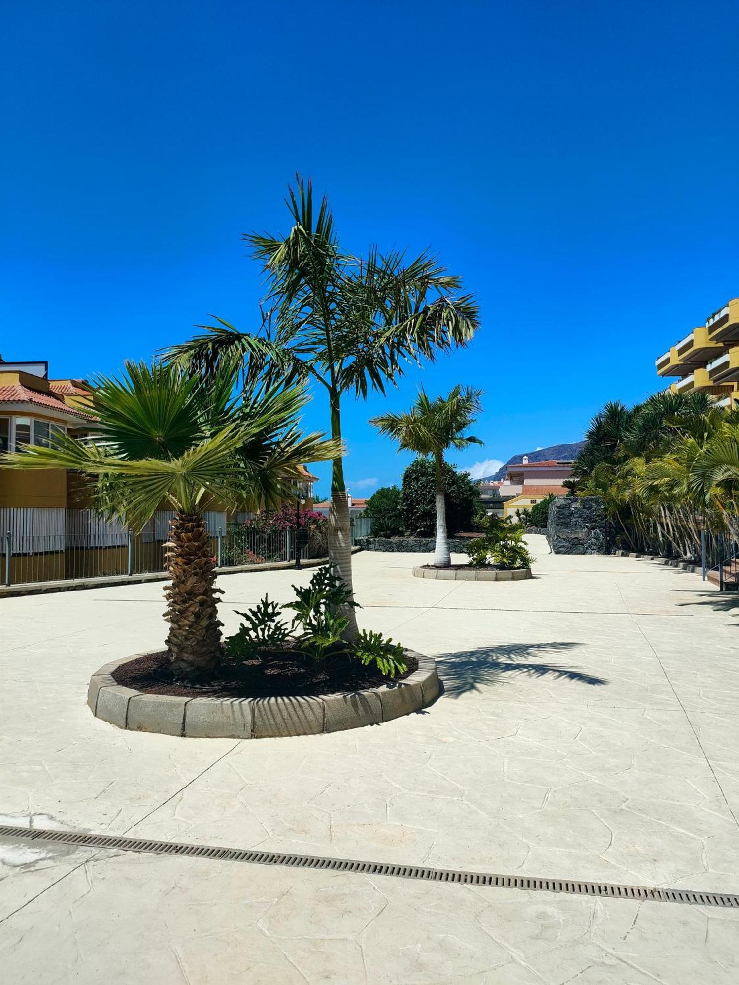 Belvedere Penthouse Puerto de Santiago  Exterior photo